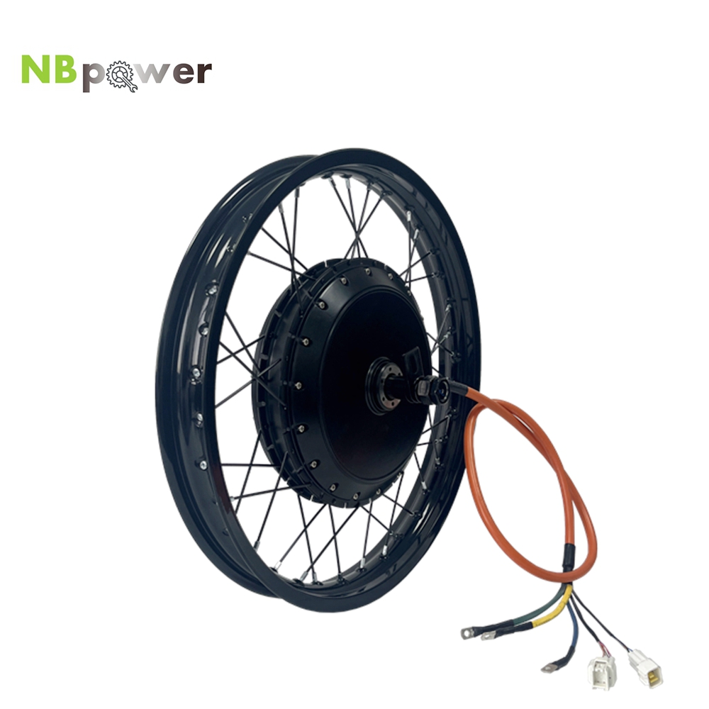NBpower/170mm Dropout QS 273 4 - Qs Motor 273 8000W Hub Motor ulasan dan harga